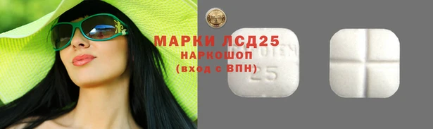 амф Кулебаки